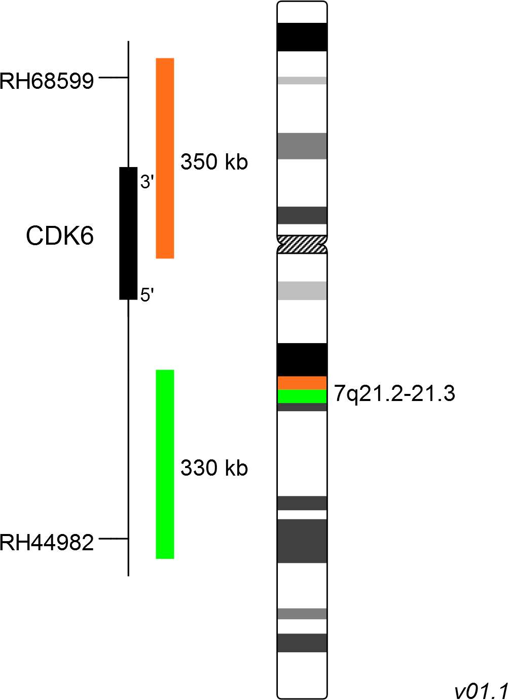 Cl Cdk Break Apart Probe Metasystems Probes