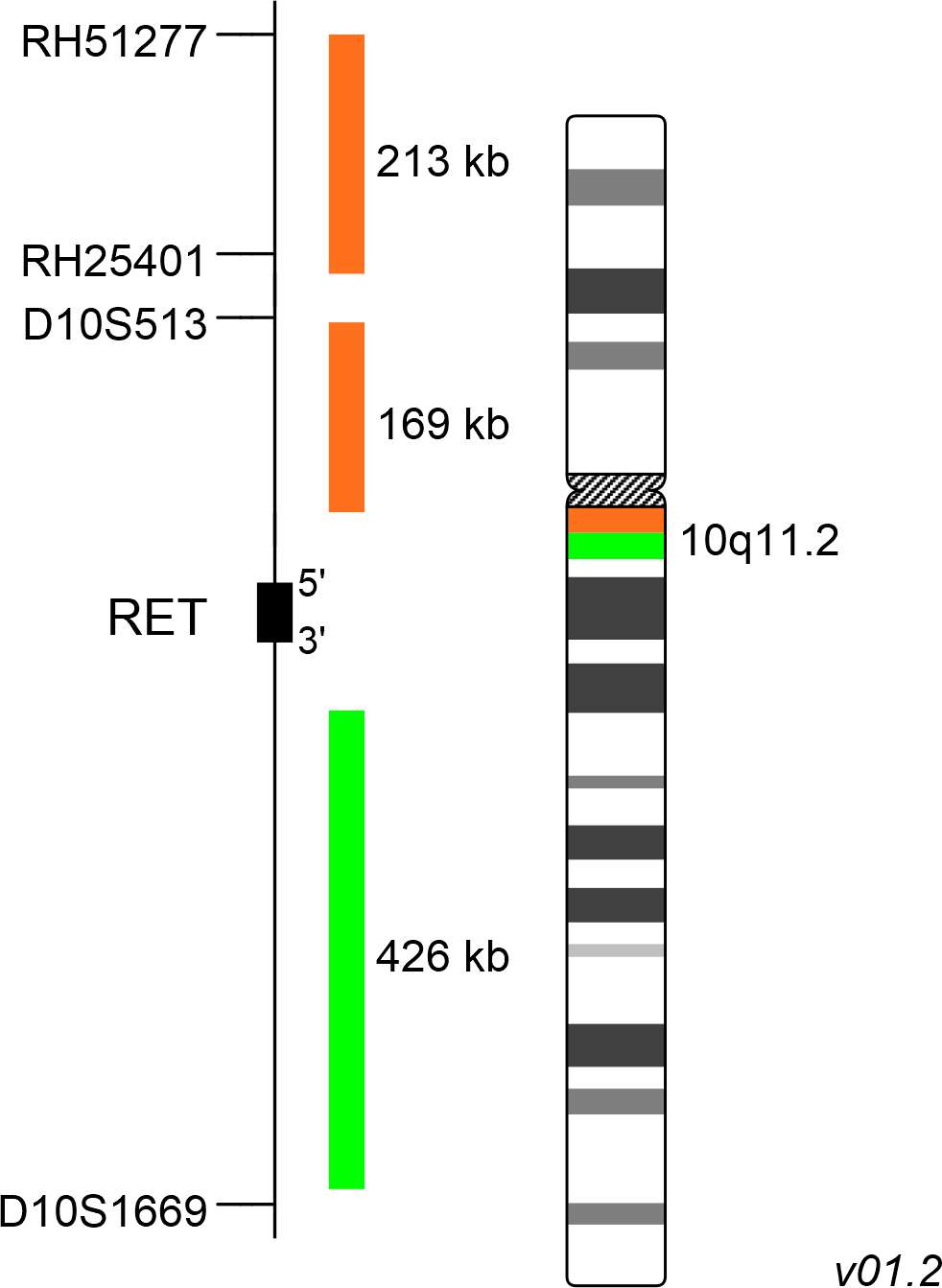 XL RET BA Break Apart Probe MetaSystems Probes